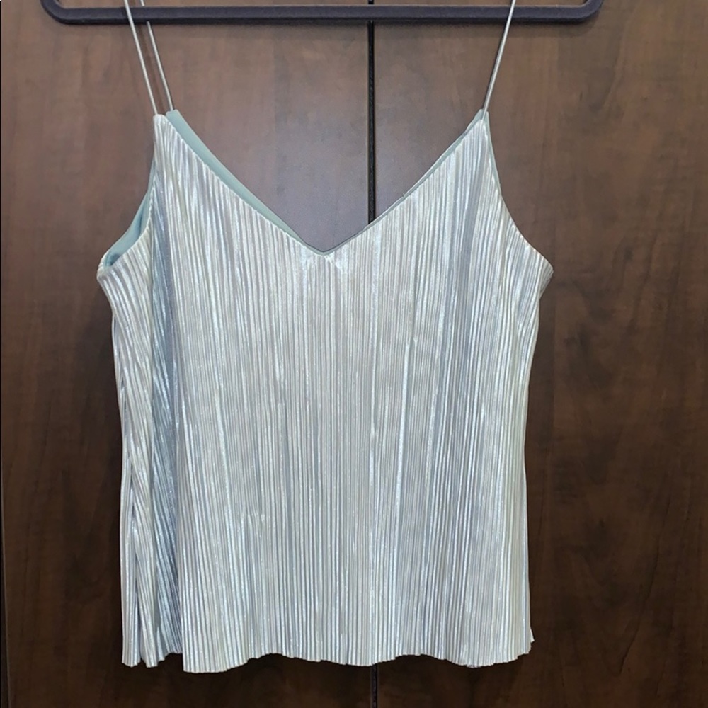 Metallic Top